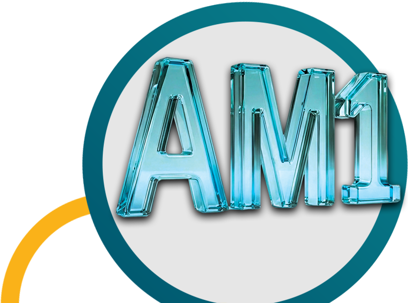 Redefining Leadership:  AM1 (p) Rating by VIS