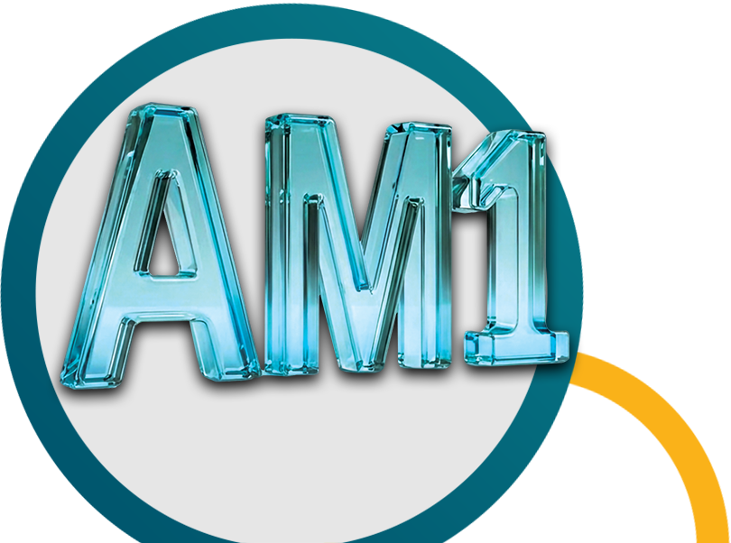 ری ڈیفائننگ لیڈرشپ <br/>اے ایم ون (پی)  ریٹنگ بائی وی آئی ایس