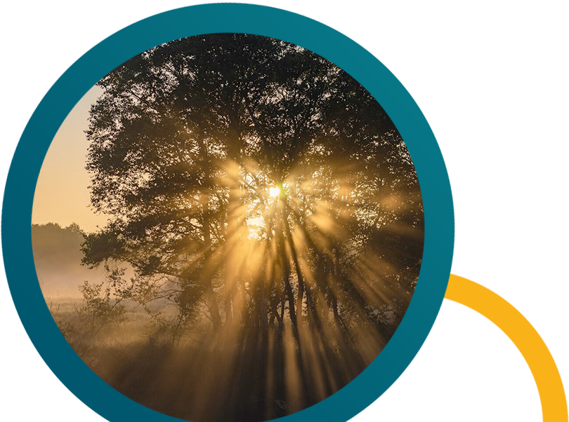 Personal Accident Plan