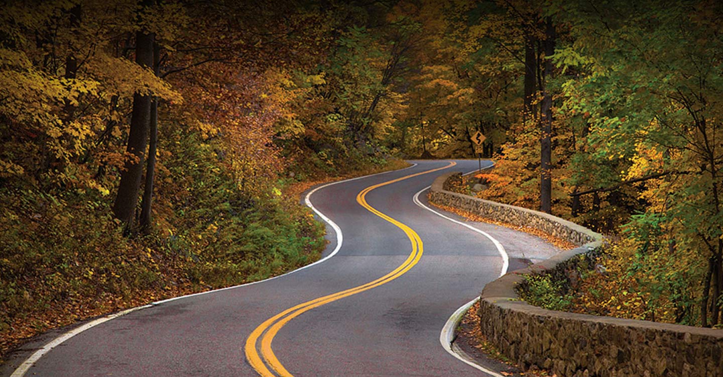 Monster Curves Pictures